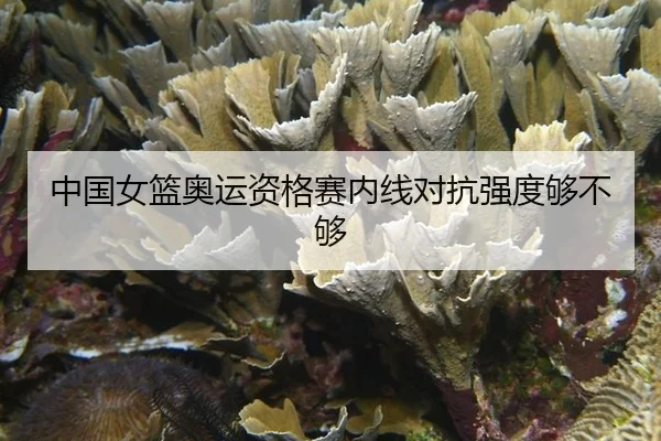 zhong-guo-nv-lan-ao-yun-zi-ge-sai-nei-xian-dui-kang-qiang-du-gou-bu-gou-2-740.jpg